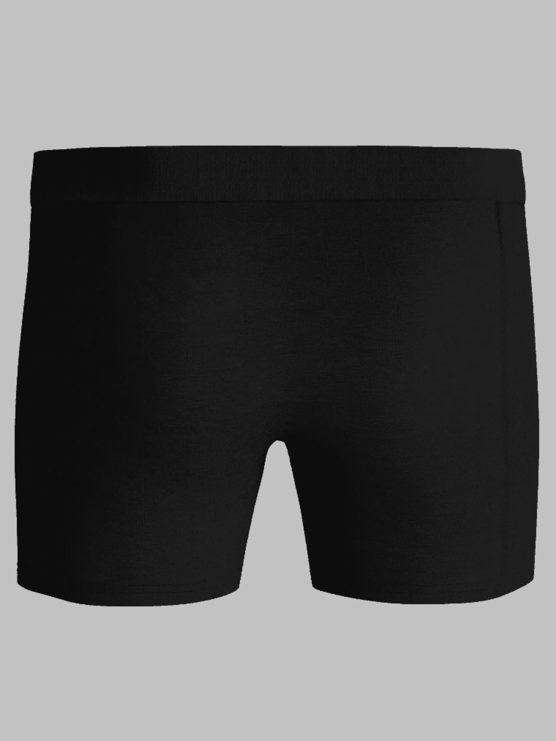 Organic Cotton Stretch Boxers 2-pack