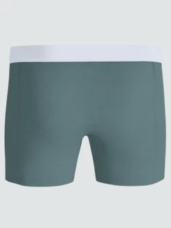 Organic Cotton Stretch Boxers 2-pack